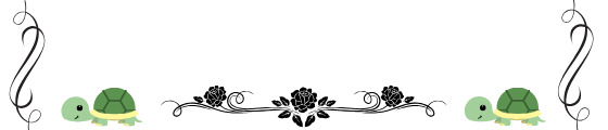 ゆっくりカメの戦略的勉強カフェ